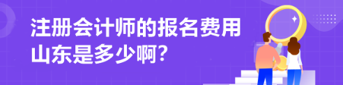 注册会计师的报名费用山东是多少啊？