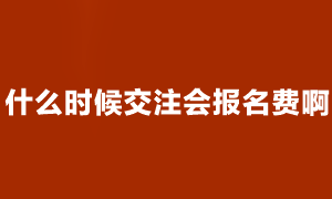 注会考试报名成功了 什么时候交费啊？