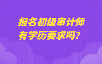 报名初级审计师有学历要求吗？