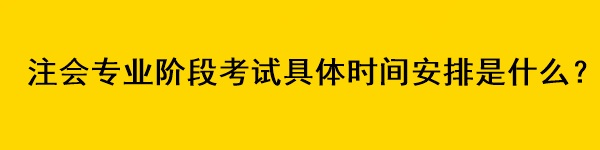 注会专业阶段考试具体时间安排是什么？