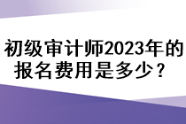 初级审计师2023年的报名费用是多少？