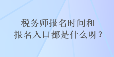 税务师报名时间和报名入口都是什么呀？