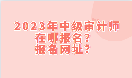 2023年中级审计师在哪报名？报名网址？