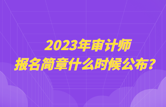 2023年审计师报名简章什么时候公布？