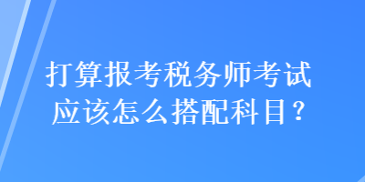 打算报考税务师考试应该怎么搭配科目？