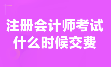 现在可以交注册会计师报名费吗？