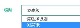 报考级别选择
