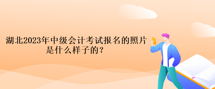 湖北2023年中级会计考试报名的照片是什么样子的？