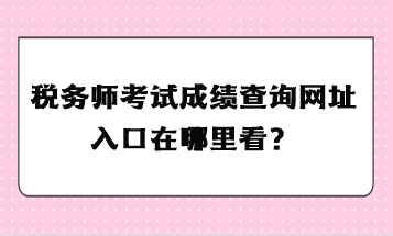 税务师考试成绩查询网址入口在哪里看