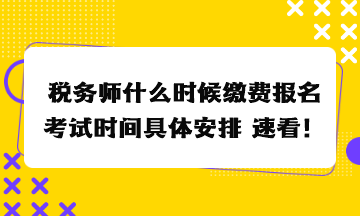 税务师什么时候缴费报名考试时间具体安排 速看！