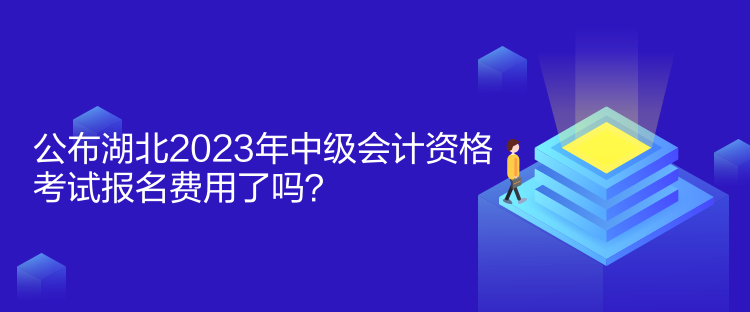 公布湖北2023年中级会计资格考试报名费用了吗？