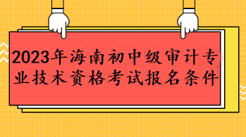 2023年海南初中级审计专业技术资格考试报名条件