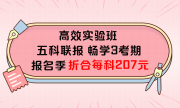 税务师高效实验班