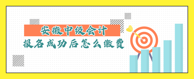 安徽中级会计报名成功后怎么缴费