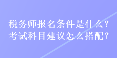 税务师报名条件是什么？考试科目建议怎么搭配？