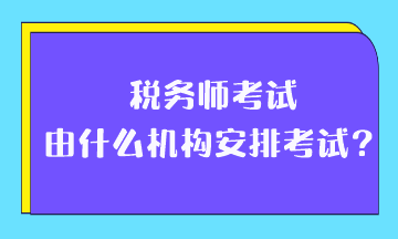 税务师考试由什么机构安排考试？