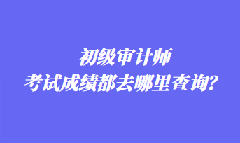 初级审计师考试成绩都去哪里查询？