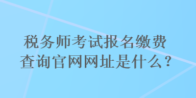 税务师考试报名缴费查询官网网址是什么？