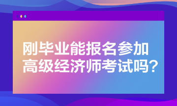 刚毕业能报名参加高级经济师考试吗？