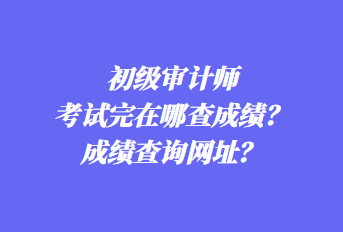 初级审计师考试完在哪查成绩？成绩查询网址？