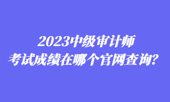 2023中级审计师考试成绩在哪个官网查询？