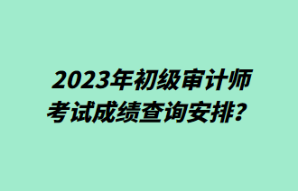 2023年初级审计师考试成绩查询安排