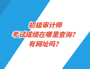 初级审计师考试成绩在哪里查询？有网址吗？