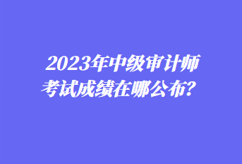 2023年中级审计师考试成绩在哪公布？