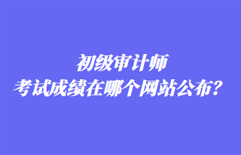 初级审计师考试成绩在哪个网站公布？