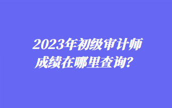 2023年初级审计师成绩在哪里查询？