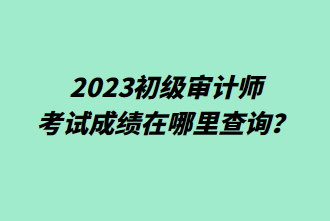 2023初级审计师考试成绩在哪里查询？