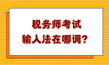 税务师考试输入法在哪调？