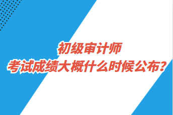 初级审计师考试成绩大概什么时候公布？