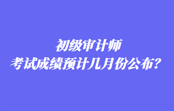 初级审计师考试成绩预计几月份公布？