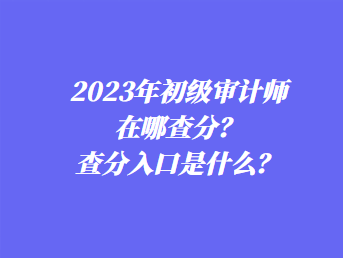 2023年初级审计师在哪查分？查分入口是什么？