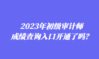 2023年初级审计师成绩查询入口开通了吗？