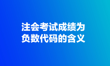 注会考试成绩为负数代码的含义