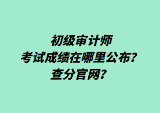 初级审计师考试成绩在哪里公布？查分官网？