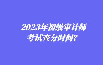 2023年初级审计师考试查分时间？