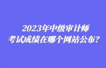 2023年中级审计师考试成绩在哪个网站公布？