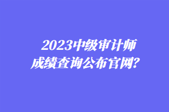 2023中级审计师成绩查询公布官网？