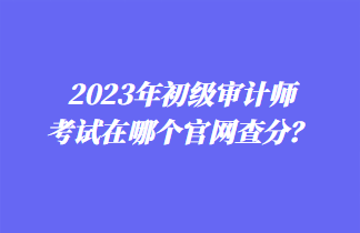 2023年初级审计师考试在哪个官网查分？