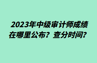 2023年中级审计师成绩在哪里公布？查分时间？