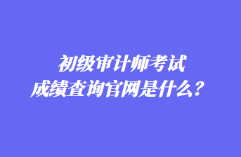 初级审计师考试成绩查询官网是什么？