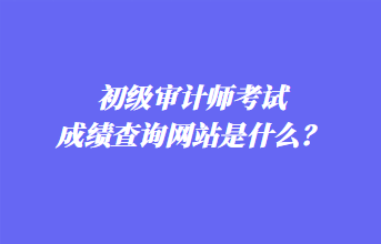 初级审计师考试成绩查询网站是什么？