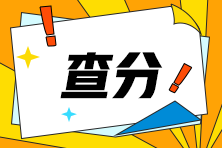 河南省2024年注会查分入口开啦！快来查分！