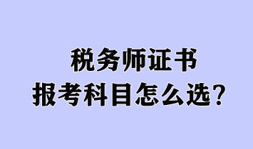 税务师证书报考科目怎么选