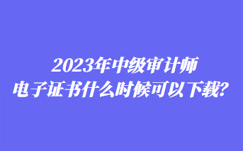 2023年中级审计师电子证书什么时候可以下载？