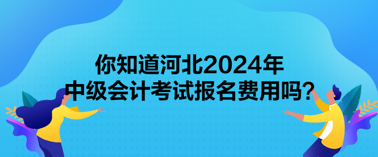 你知道河北2024年中级会计考试报名费用吗？