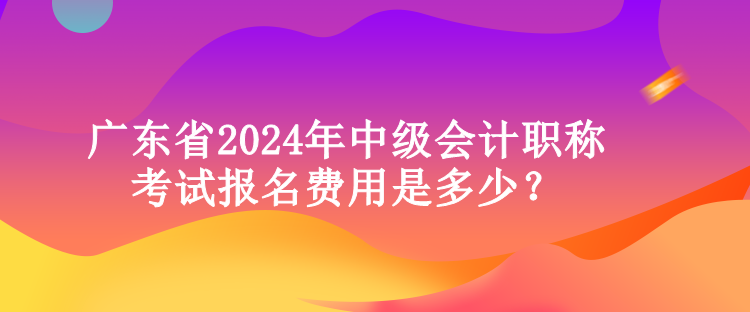 广东省2024年中级会计职称考试报名费用是多少？